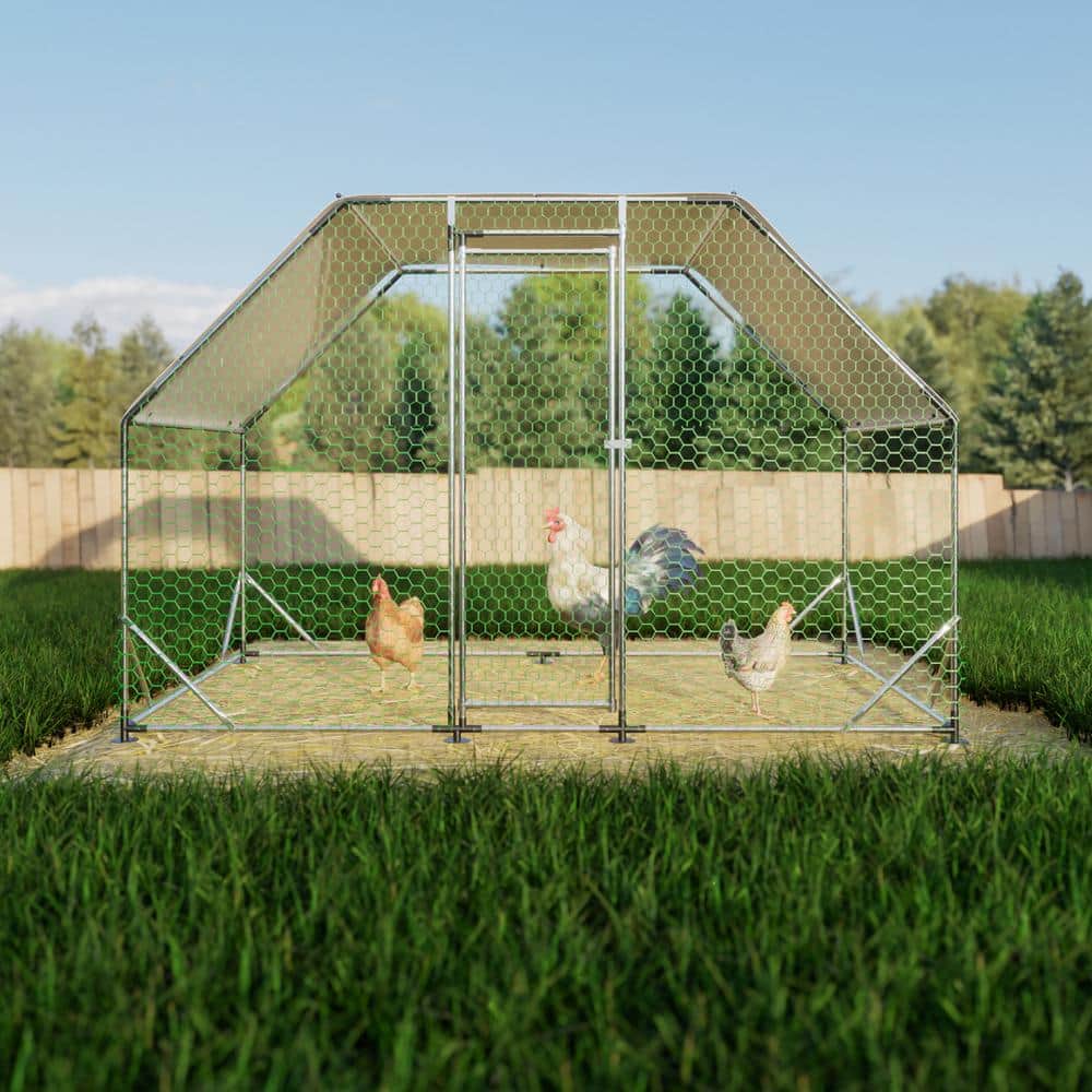 GOGEXX 9.94 ft x 6.46 ft Flat Large Metal Walk-in Chicken Coop Galvanized Poultry Cages with Waterproof Cover Outdoors