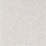 Armstrong Imperial Texture VCT 12 in. x 12 in. Soft Warm Gray Standard Excelon Commercial Vinyl Tile (45 sq. ft. / case)