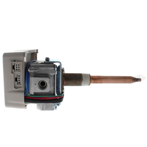 Rheem SP13846A thermostat - detail view (Voltage: 120v; Product Type: Thermostat)