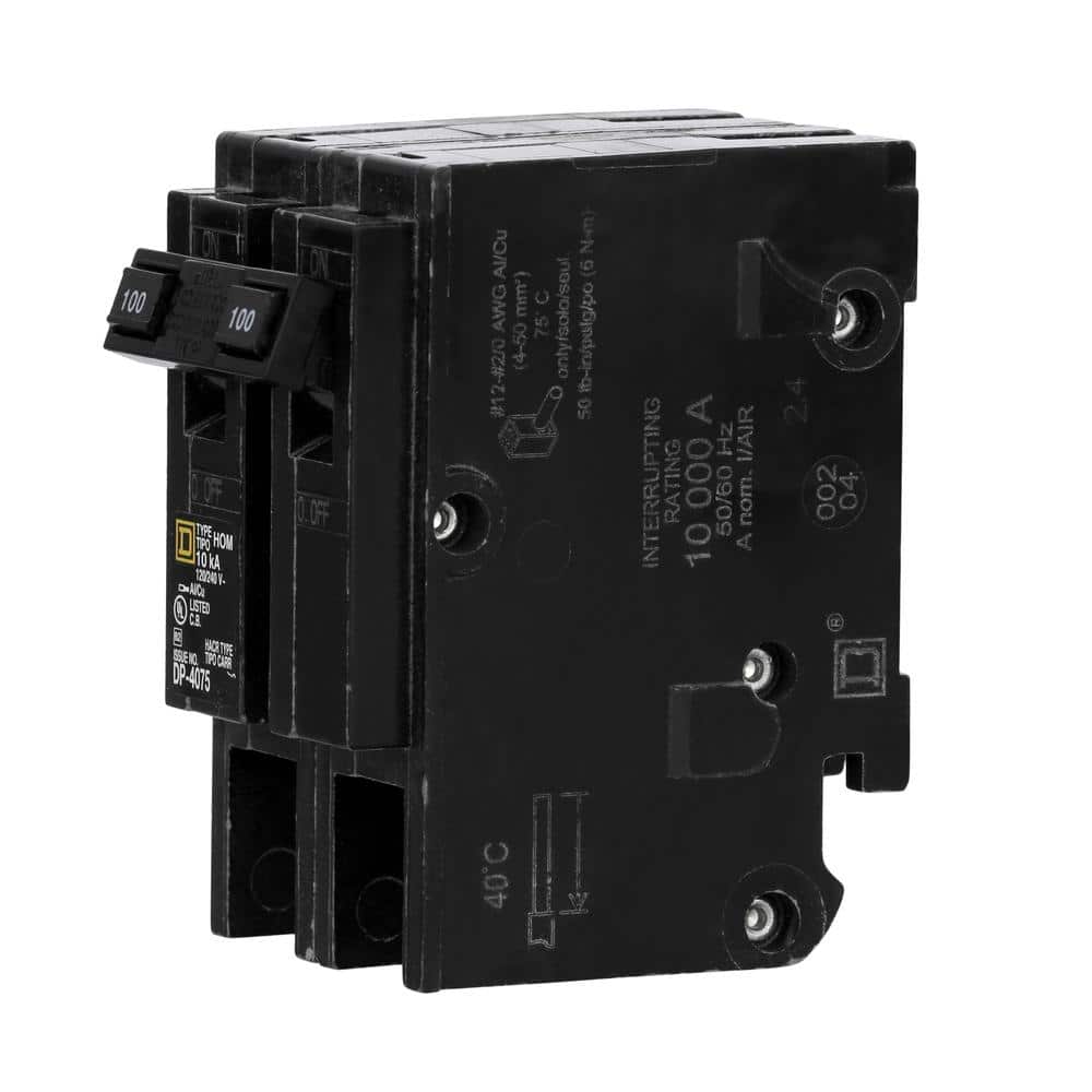 Square D Homeline 100 Amp 2-Pole Circuit Breaker, Clear Packaging (HOM2100C)