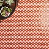 Eden Orange Nectar Rimmed Penny Round Polished Porcelain Mosaic Tile