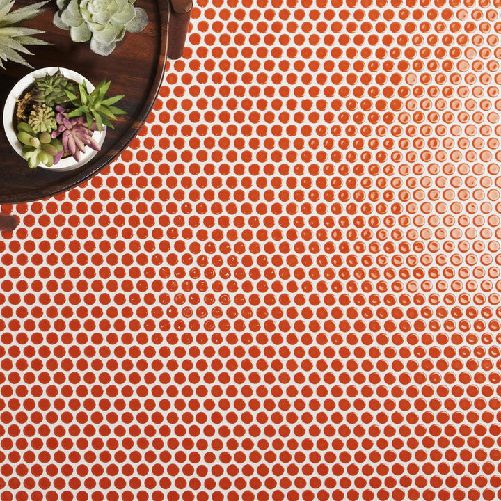 Eden Orange Nectar Rimmed Penny Round Polished Porcelain Mosaic Tile