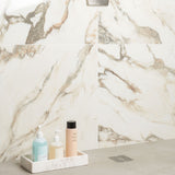 DreamStone Calacatta Rustico Polished Porcelain Tile - 24x24