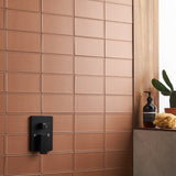 Stacy Garcia Maddox Frame Terracotta 4x8 Matte Ceramic Subway Tile