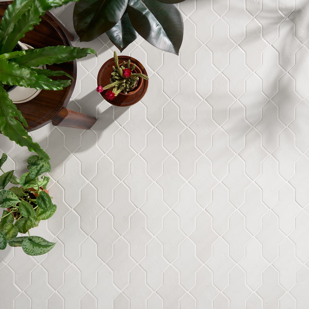 Lux Tile Parma Cruz White 5x8 Polished Porcelain Tile