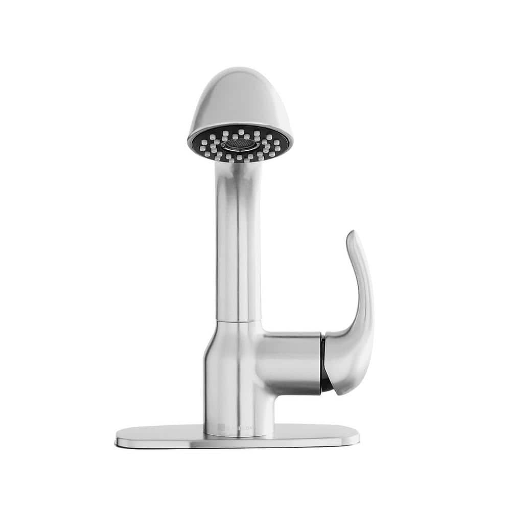 Glacier Bay Dunning Stainless Spot Resistant Pull-Out Laundry Faucet
