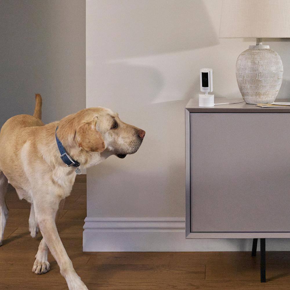 Ring Pan-Tilt Indoor Cam Plug-in Security Camera with 360° Horizontal Pan Coverage, Live View and Two-Way Talk, Starlight