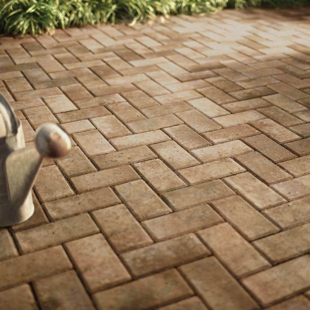 Pavestone Holland 7.87 in. L x 3.94 in. W x 36 in. H 60 mm Tan/Brown Concrete Paver (480-Pieces/103 sq. ft./Pallet)