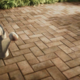 Pavestone Holland 7.87 in. L x 3.94 in. W x 36 in. H 60 mm Tan/Brown Concrete Paver (480-Pieces/103 sq. ft./Pallet)