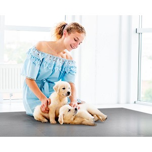 Norsk Blue 24 in. x 24 in. x 0.47 in. Foam Interlocking Floor Mat (6-Pack)
