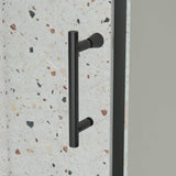 TOOLKISS 44 to 48 in. W x 71 in. H Framed Pivot Shower Door in Black with Clear Glass