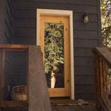 Krosswood Doors 36 in. x 80 in. Rustic Knotty Alder Full-Lite Clear Low-E Unfinished Wood Right-Hand Inswing Exterior Prehung Front Door