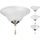 Progress Lighting Trinity Collection 2-Light Unfinished Ceiling Fan Light Kit