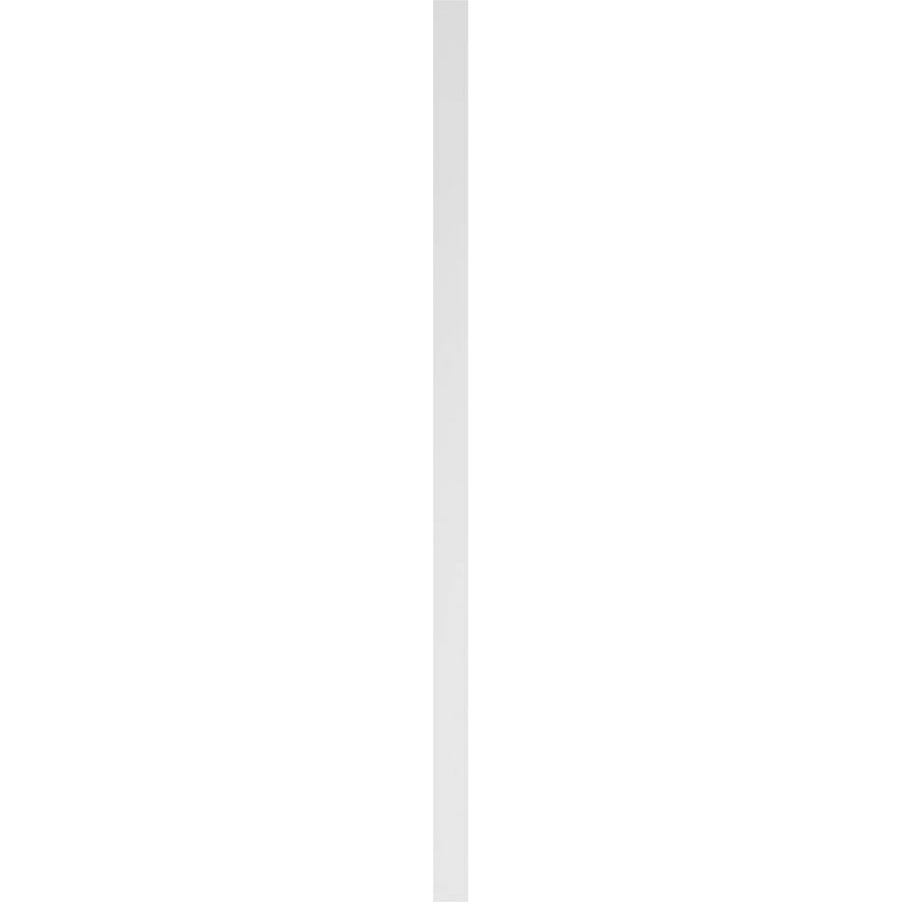 Ekena Millwork 2 in. x 4 in. x 102 in. Raised Panel PVC Pilaster Moulding with Standard Capital and Base (Pair)
