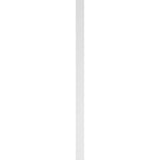 Ekena Millwork 2 in. x 5 in. x 96 in. Raised Panel PVC Pilaster Moulding with Decorative Capital and Base (Pair)