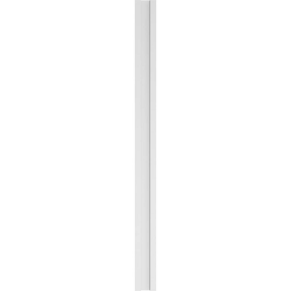 Ekena Millwork 2 in. x 7 in. x 96 in. Raised Panel PVC Pilaster Moulding with Decorative Capital and Base (Pair)