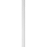 Ekena Millwork 2 in. x 8 in. x 102 in. Smooth PVC Pilaster with Standard Capital and Base Moulding (Pair)