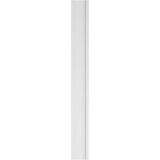 Ekena Millwork 2 in. x 12 in. x 108 in. Smooth PVC Pilaster with Decorative Capital and Base Moulding (Pair)