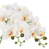 Vanity Art 23.62 in. H Artificial Orchid Arrangement in Gold-Plated Ceramics Vase