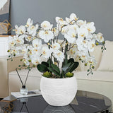 Vanity Art 36.22 in. H Artificial Phalaenopsis Orchids Floral Arrangement in Pot