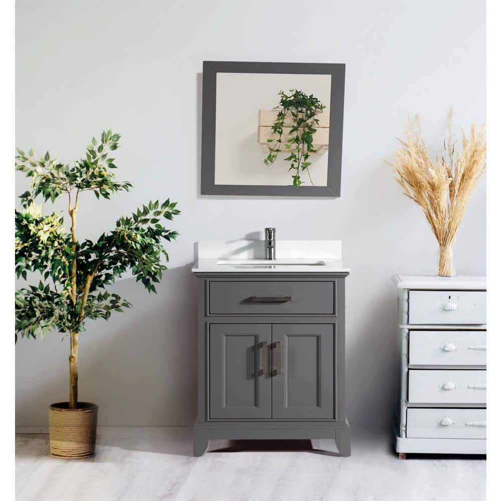Vanity Art Genoa 30 in. W x 22 in. D x 36 in. H Bath Vanity in Grey with Engineered Marble Top in White with Basin and Mirror