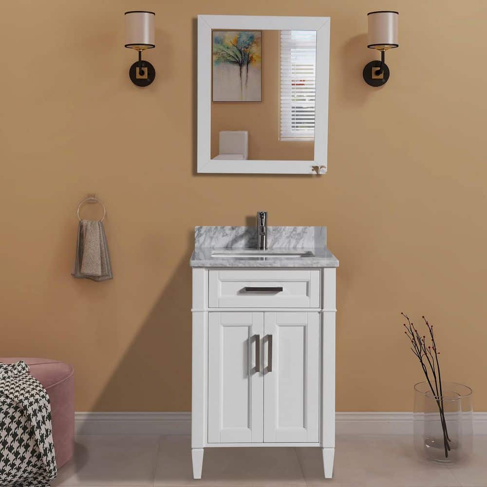 Vanity Art Savona 24 in. W x 22 in. D x 36 in. H Bath Vanity in White with Vanity Top in White with White Basin and Mirror
