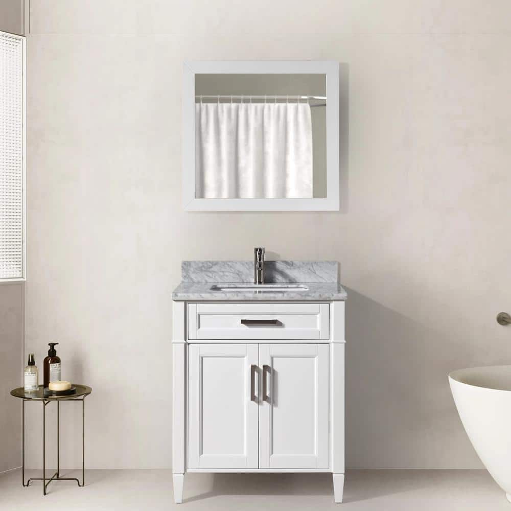 Vanity Art Savona 30 in. W x 22 in. D x 36 in. H Bath Vanity in White with Vanity Top in White with White Basin and Mirror