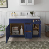 Vanity Art 48 in. W x 21 in. D x 32.5 in. H Bath Vanity Cabinet without Top in Blue