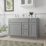 Vanity Art 48 in. W x 21 in. D x 32.5 in. H Bath Vanity Cabinet without Top in Gray