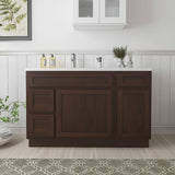 Vanity Art 51 in. W x 21 in. D x 32.5 in. H Bath Vanity Cabinet without Top in Brown