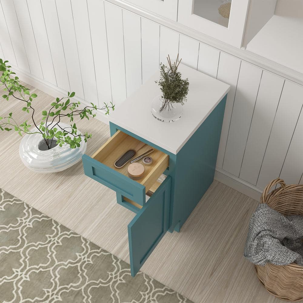 Vanity Art 15 in. W x 21 in. D x 32.5 in. H 1-Drawer Bath Vanity Cabinet Only in Sea Green