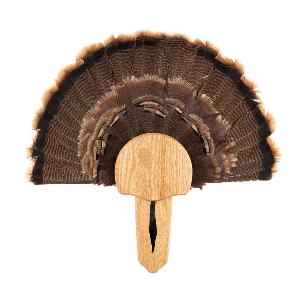 Walnut Hollow Solid Oak Turkey Mount Kit