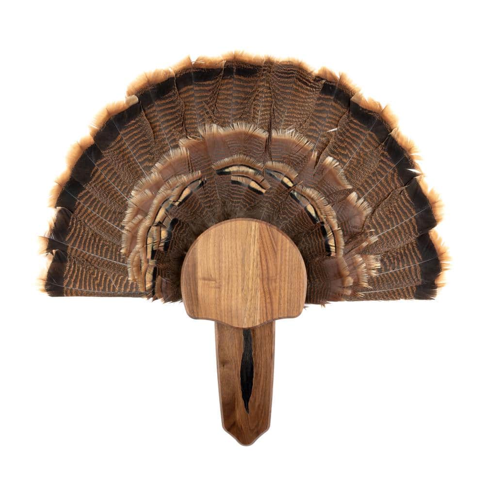 Walnut Hollow Solid Walnut Turkey Mount Kit