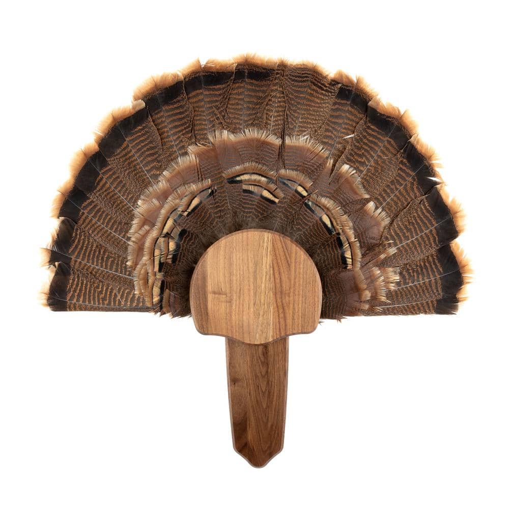 Walnut Hollow Solid Walnut Turkey Mount Kit