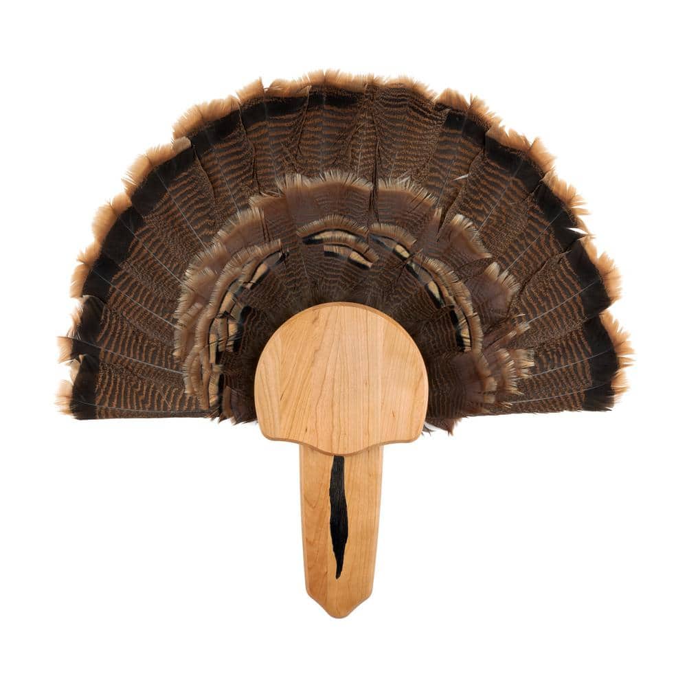 Walnut Hollow Solid Cherry Turkey Mount Kit