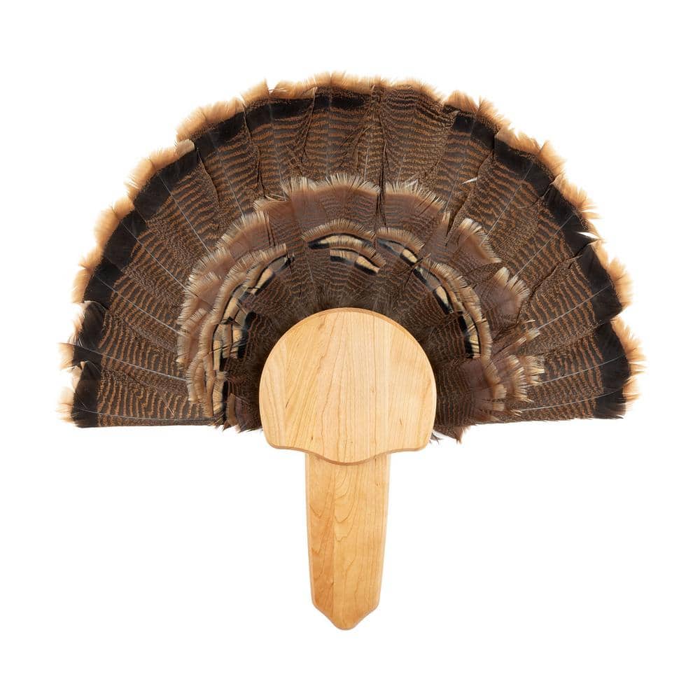 Walnut Hollow Solid Cherry Turkey Mount Kit