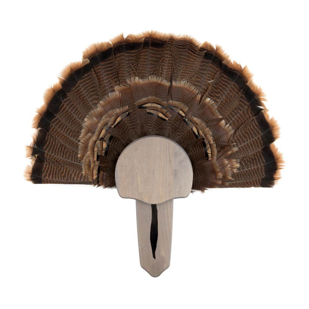 Walnut Hollow Rustic Pine Turkey Mount Kit