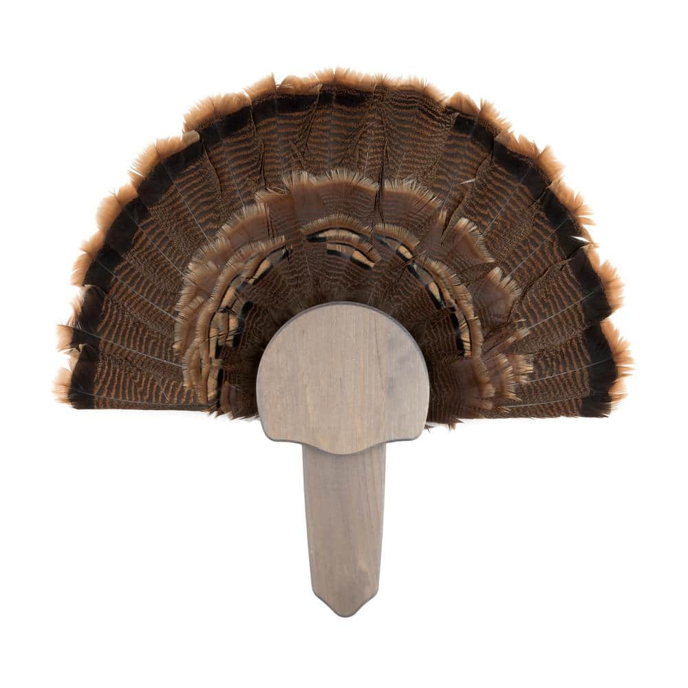 Walnut Hollow Rustic Pine Turkey Mount Kit