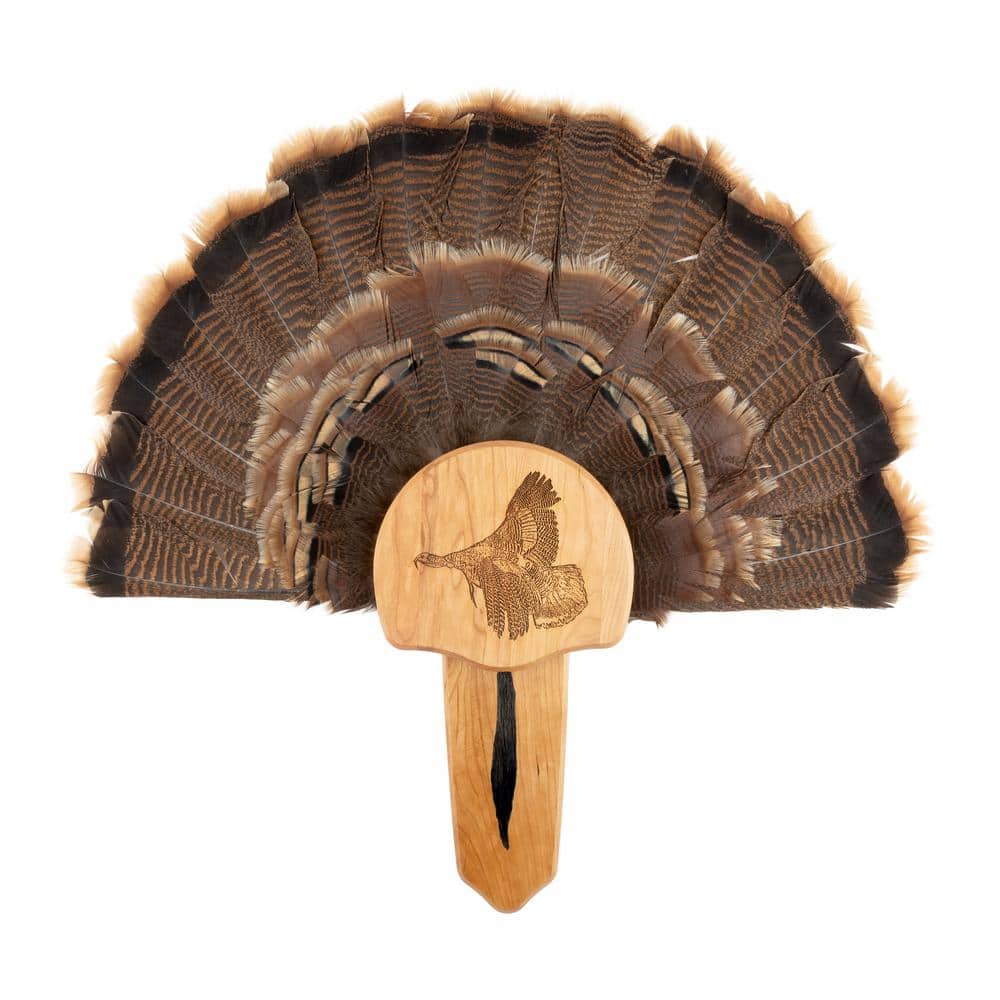 Walnut Hollow Solid Cherry Turkey Mount Kit with Taking Flight Engraving