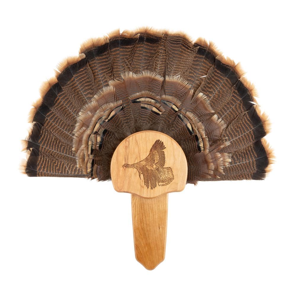 Walnut Hollow Solid Cherry Turkey Mount Kit with Taking Flight Engraving