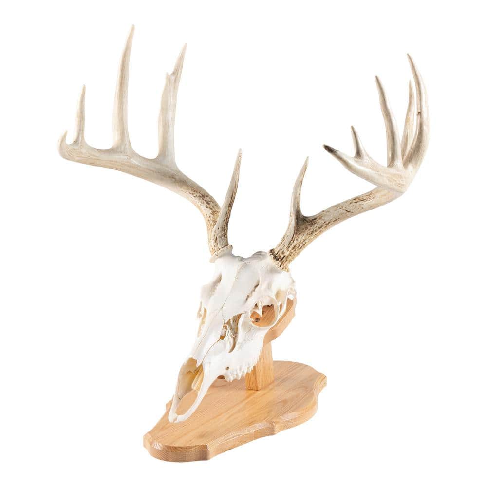 Walnut Hollow Solid Oak Euro Mount Kit
