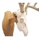 Walnut Hollow Solid Walnut Euro Mount Kit
