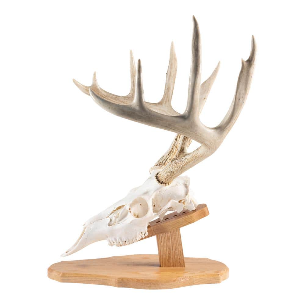Walnut Hollow Solid Walnut Euro Mount Kit
