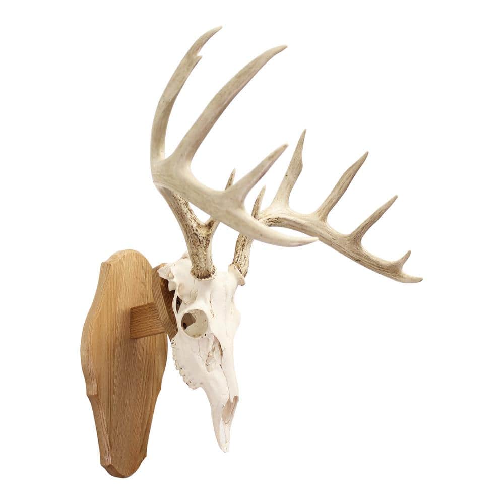 Walnut Hollow Solid Walnut Euro Mount Kit