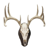 Walnut Hollow Rustic Pine Euro Mount Kit