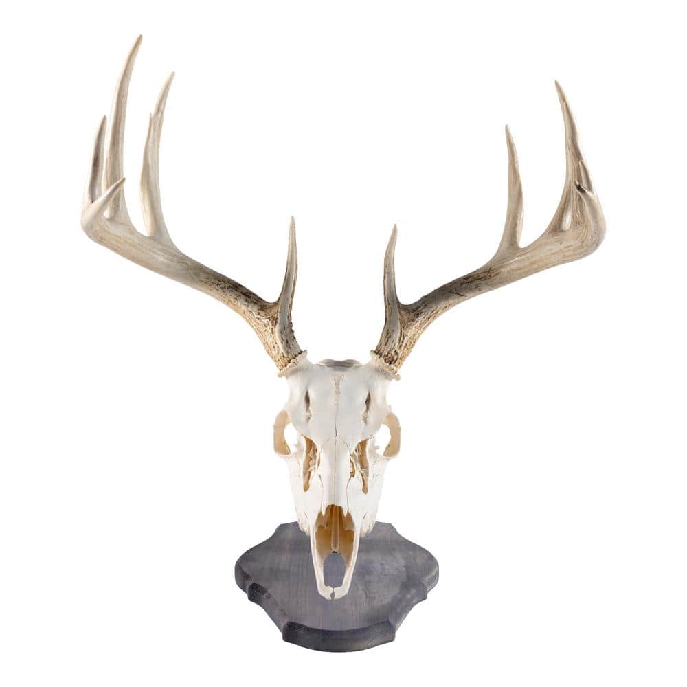 Walnut Hollow Rustic Pine Euro Mount Kit