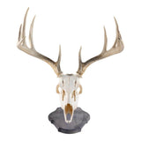Walnut Hollow Rustic Pine Euro Mount Kit