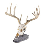 Walnut Hollow Rustic Pine Euro Mount Kit