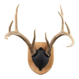 Walnut Hollow Solid Oak Antler Mount Kit