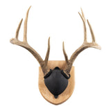 Walnut Hollow Solid Oak Antler Mount Kit